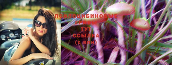 бошки Кулебаки