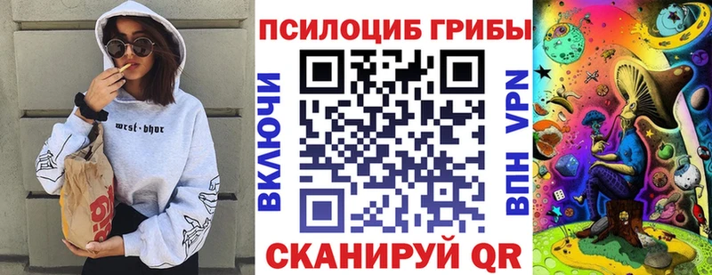закладка  Дыгулыбгей  сайты даркнета какой сайт  Псилоцибиновые грибы Magic Shrooms 